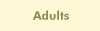 Adults